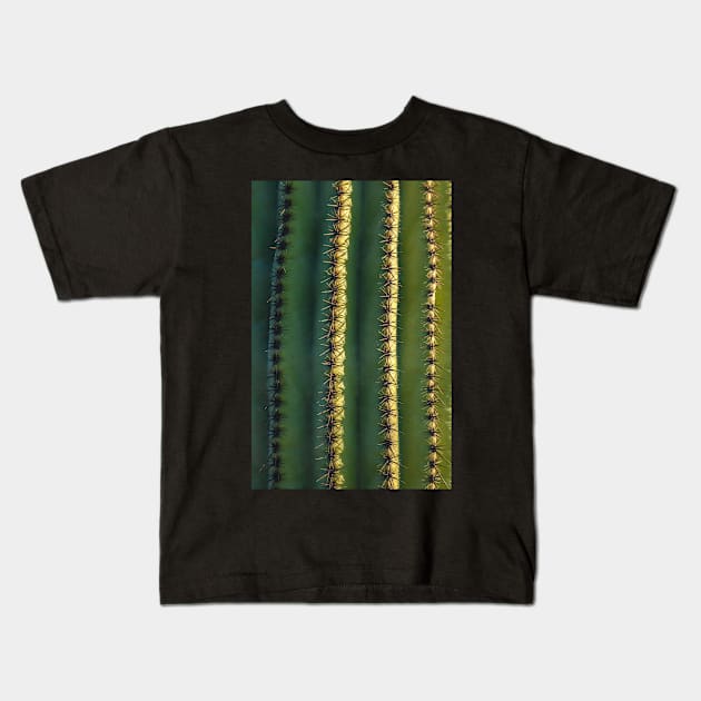 Saguaro Trunk Kids T-Shirt by jvnimages